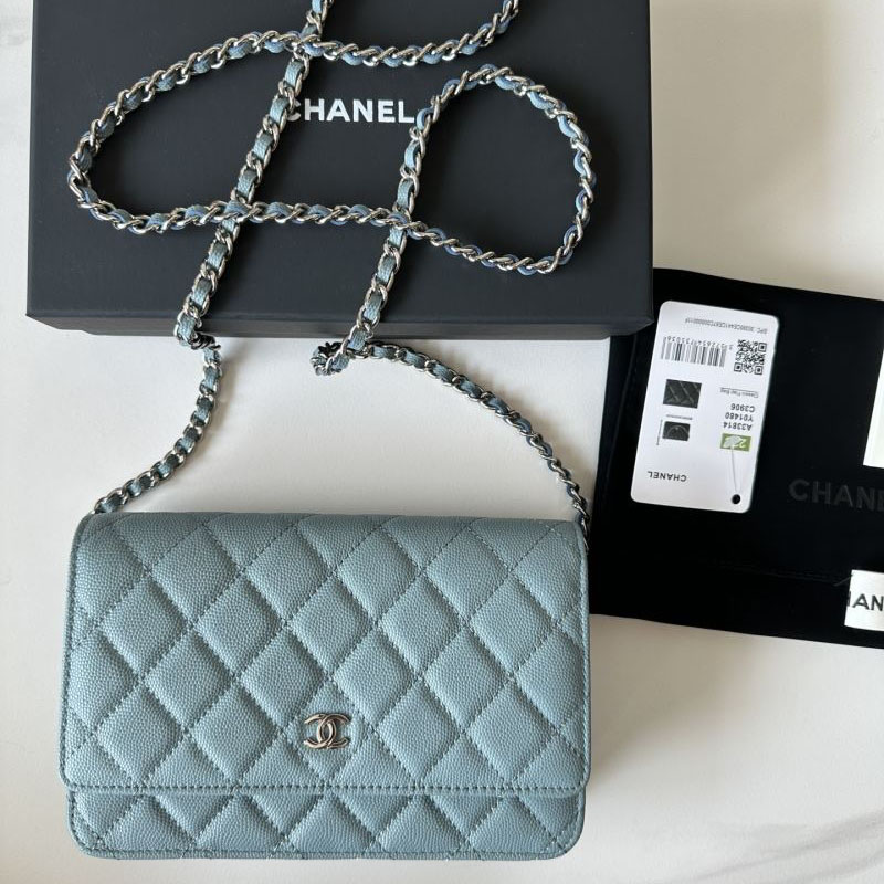 Chanel WOC Bags - Click Image to Close